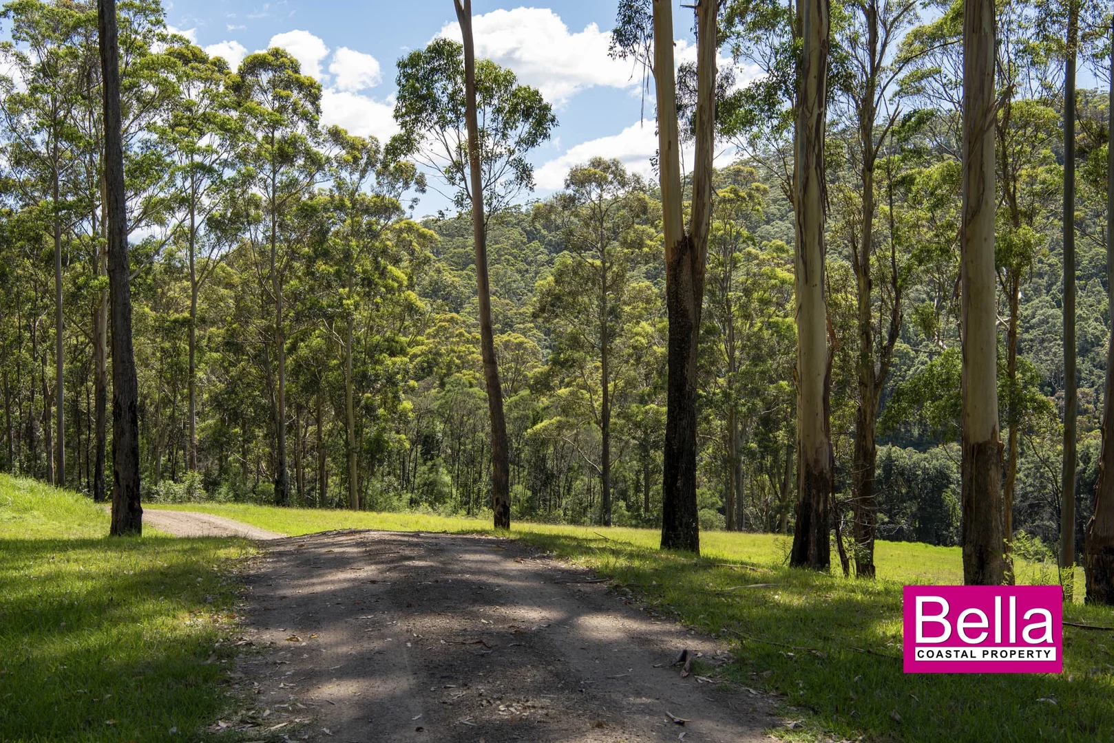 Additional image 16 of Lot 1 Monkey Mountain Road, Termeil NSW 2539