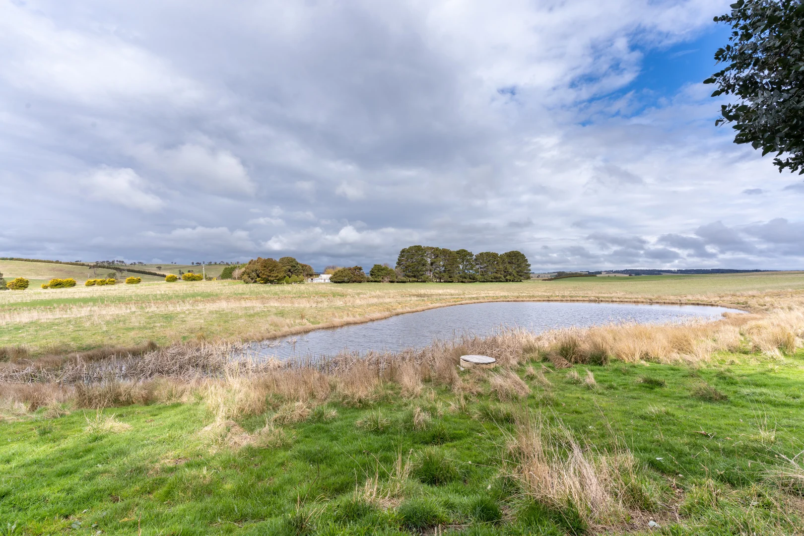 Additional image 20 of 1017 Old Lachlan Road, Barry NSW 2799