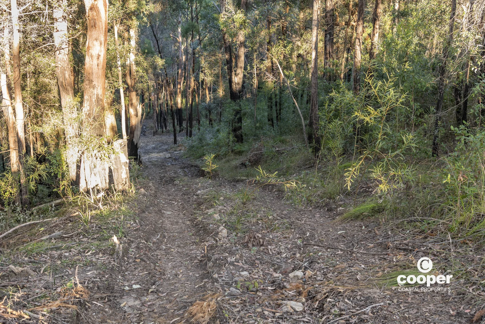 Additional image 13 of 56A Kingiman Road, Woodburn NSW 2538