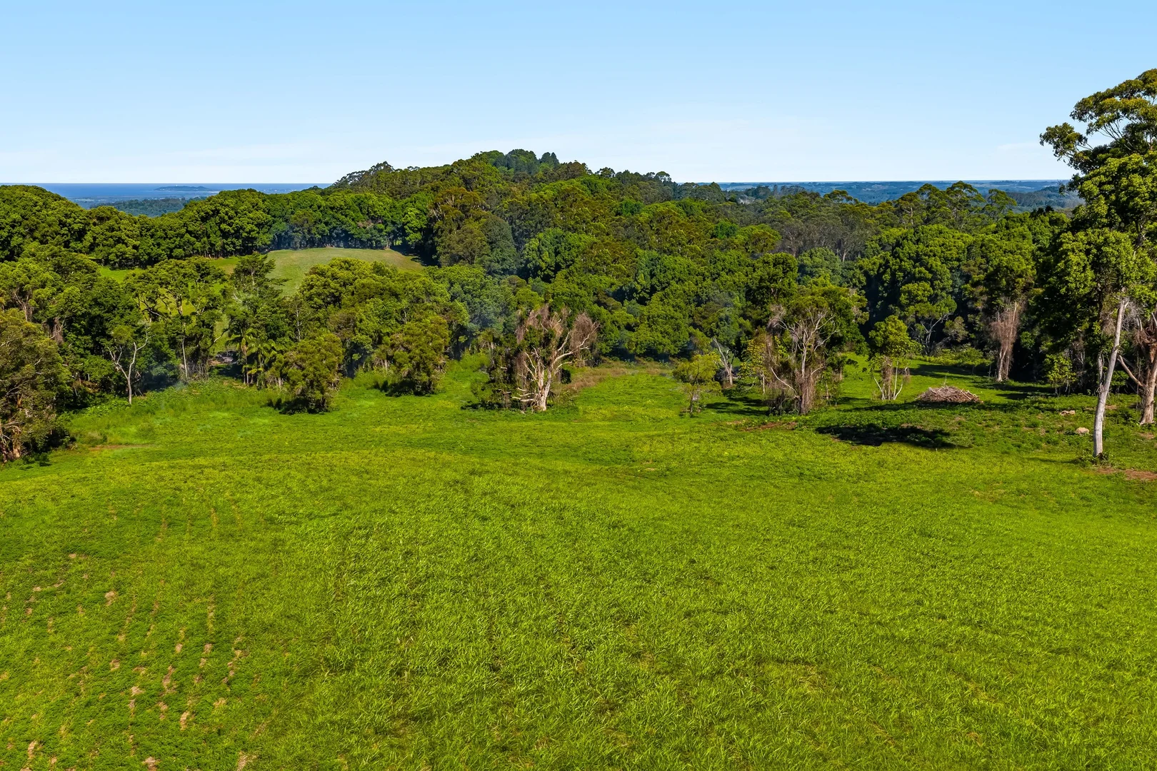 Additional image 9 of 217 Goonengerry Mill Road, Goonengerry NSW 2482