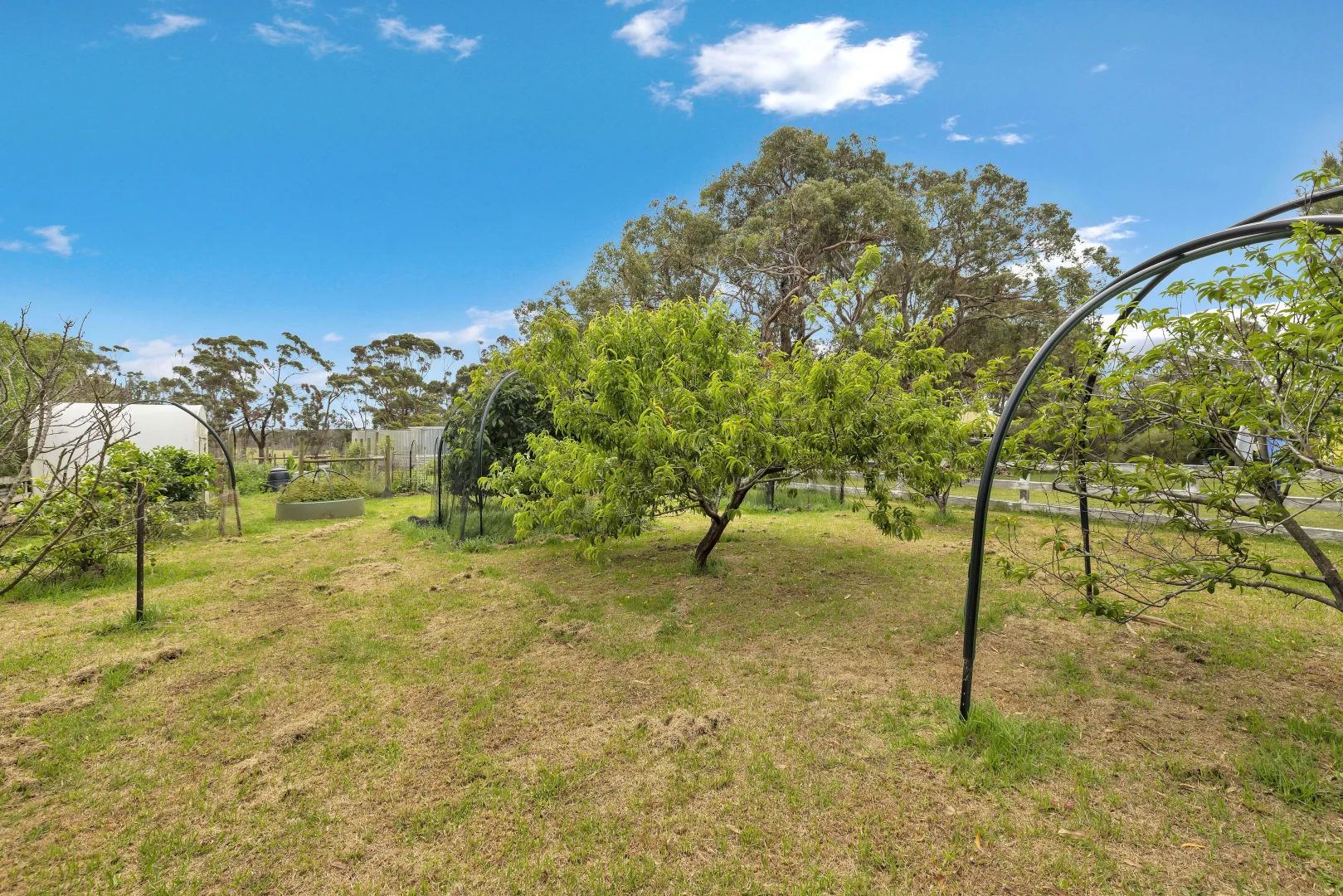 Additional image 26 of 69 Coghlan Road, Cowes VIC 3922