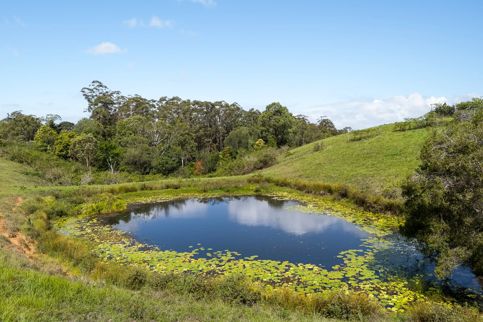Additional image 11 of 228 Robinson Road South, Ocean View QLD 4521