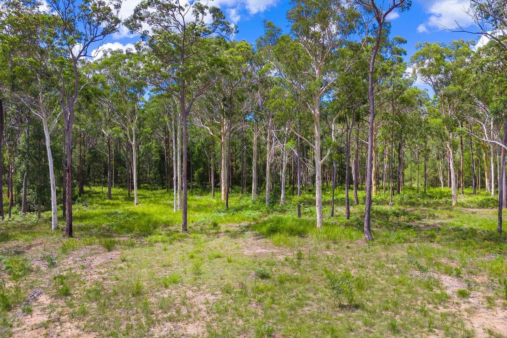 Additional image 8 of 28 Wayan Way, South Kempsey NSW 2440