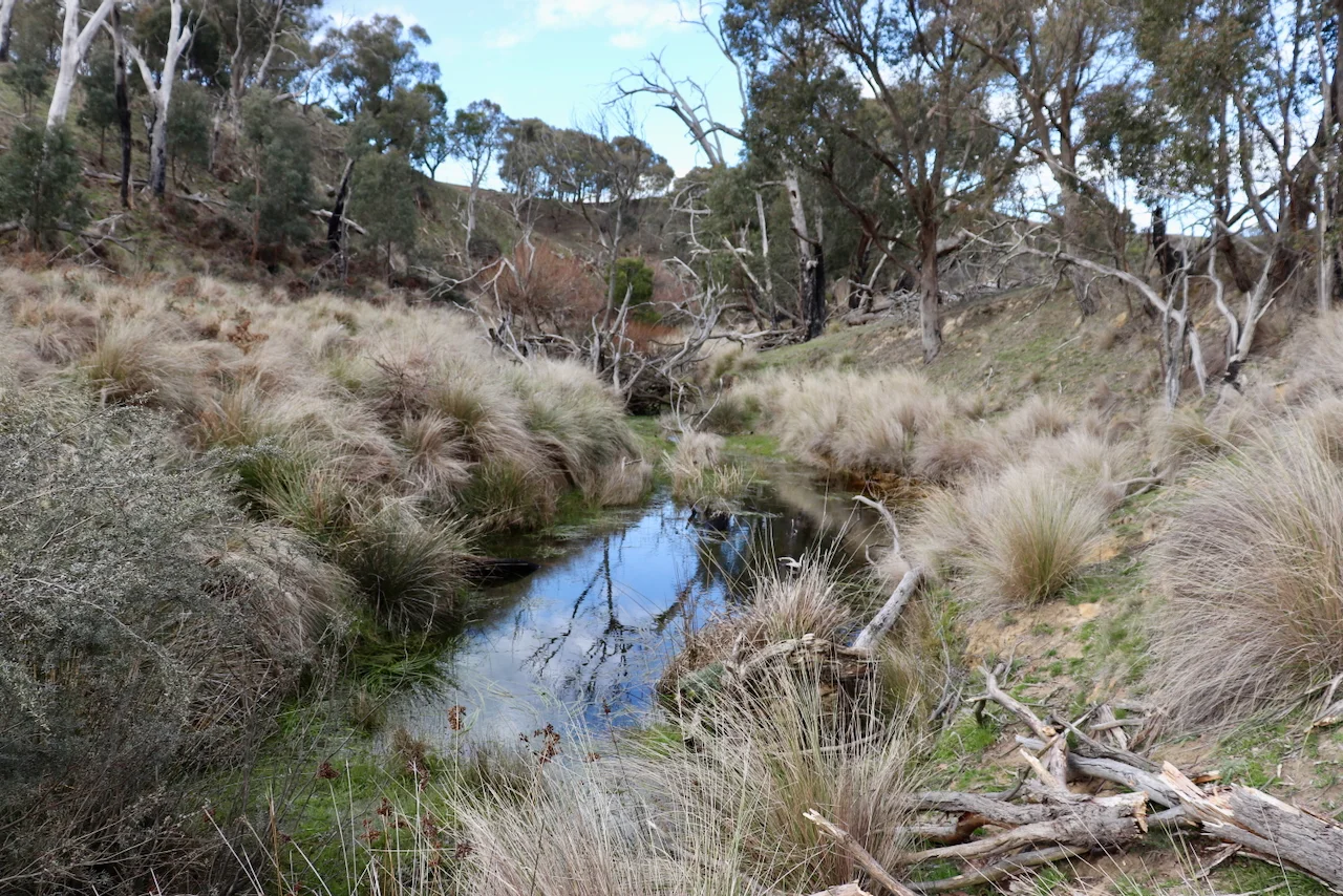 Additional image 19 of 13, 13A, 13B, 31A &, BRIDGE ROAD, Grenville VIC 3352