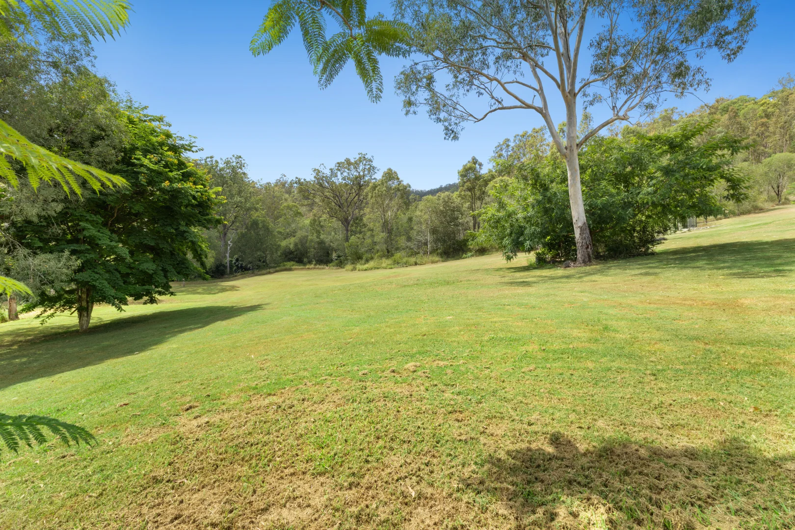 Additional image 20 of 1105 Wild Pig Creek Road, Undullah QLD 4285