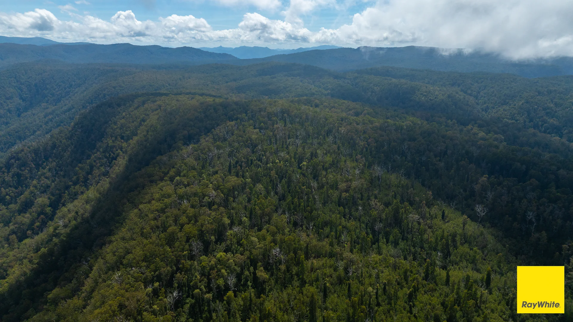 Additional image 12 of Lower Creek NSW 2440