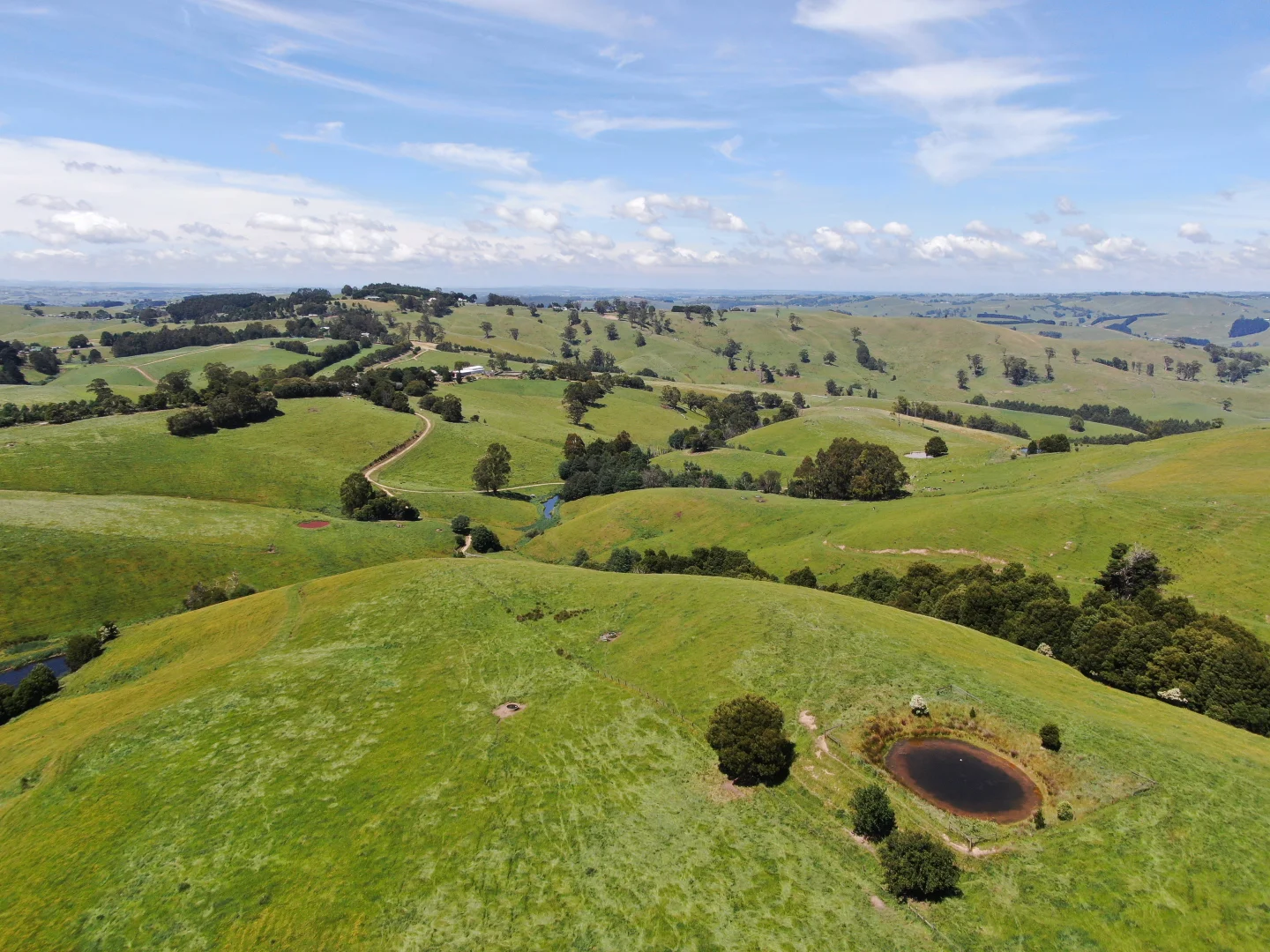 Additional image 5 of 10 Rowes Road, Mount Eccles VIC 3953