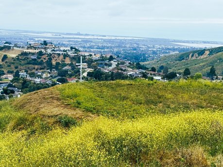 Additional image 37 of 1184 Colina Vis, Ventura, CA, 93003