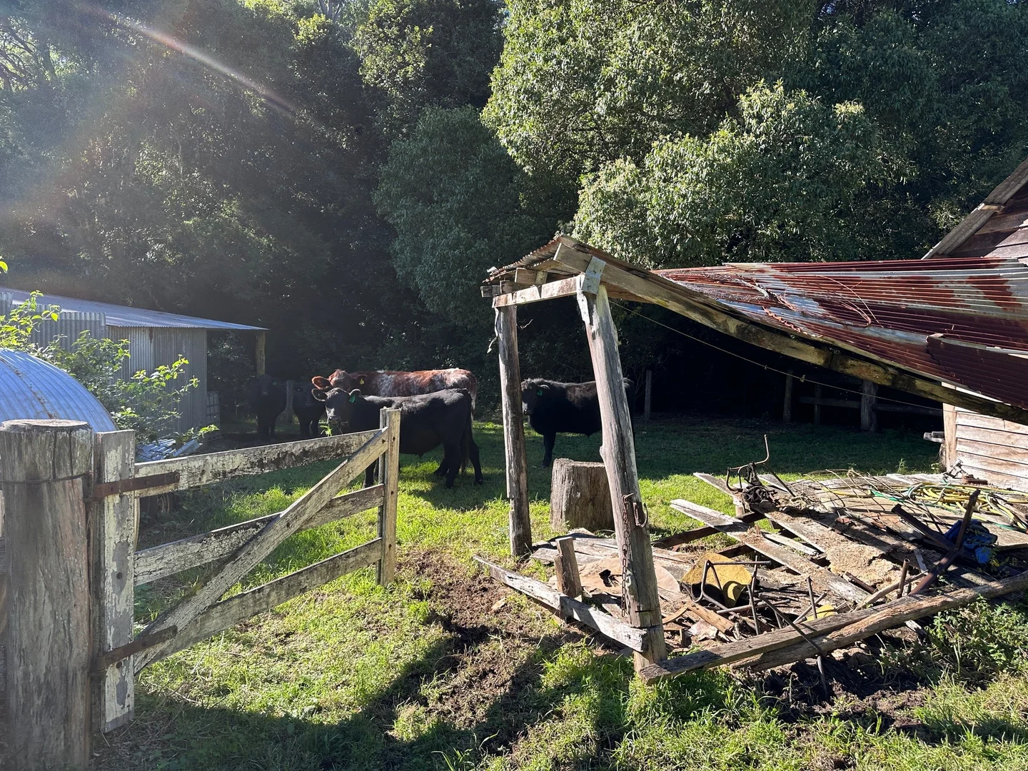 Additional image 24 of 129 Quartpot Creek Road, Dungog NSW 2420