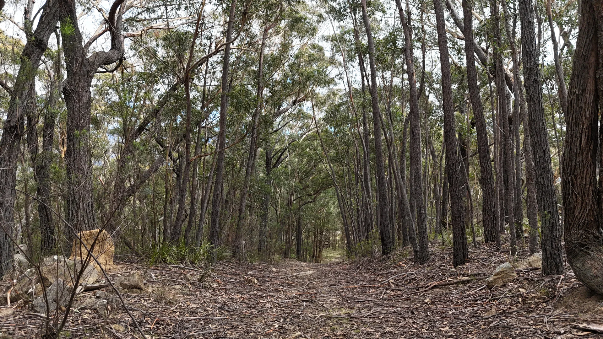 Additional image 17 of 102 Kain Cross Road, Braidwood NSW 2622