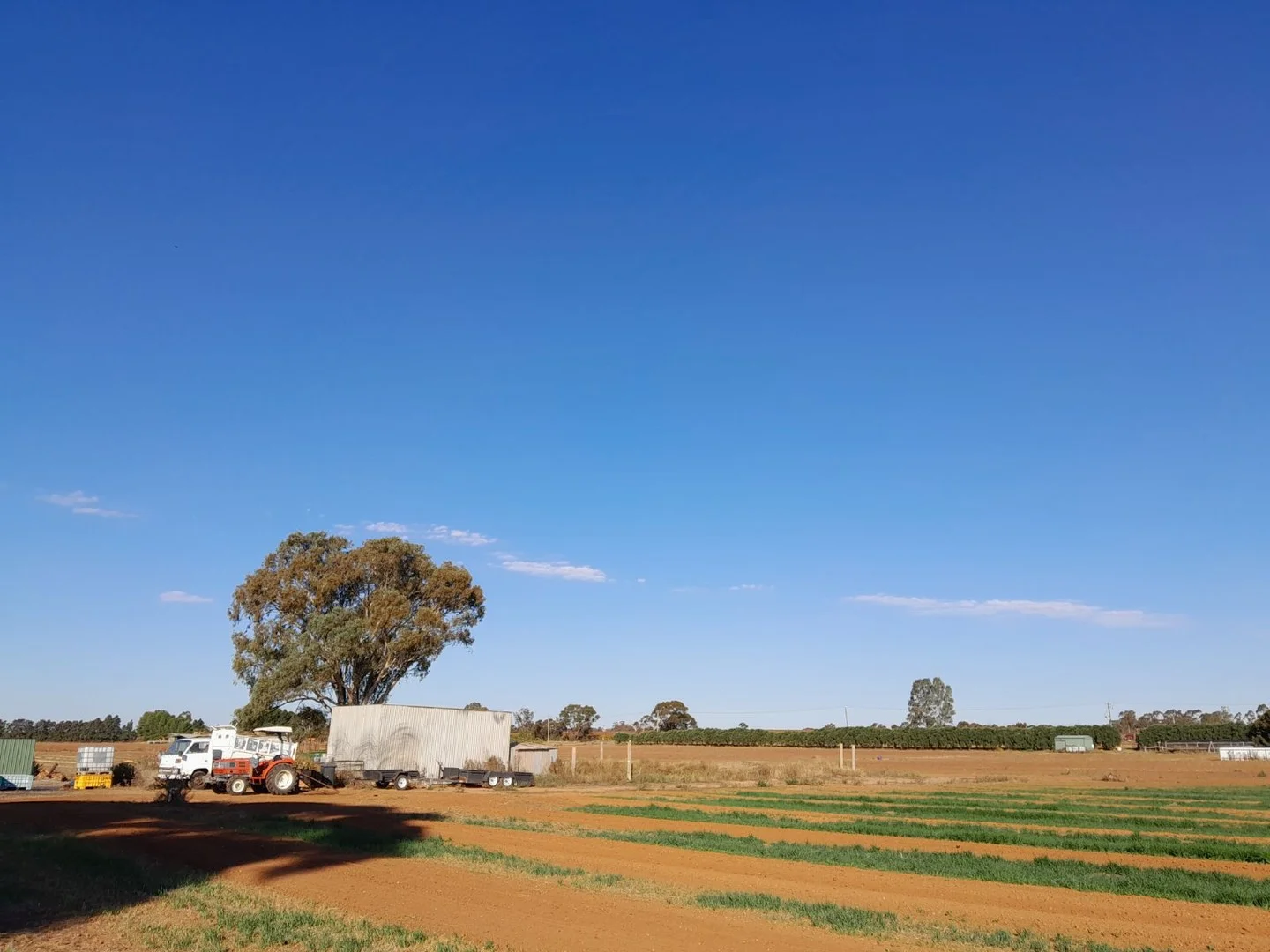 Woorinen North VIC 3589