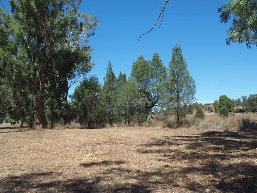 Additional image 2 of Lot 2 Narrabri Road, Bingara NSW 2404