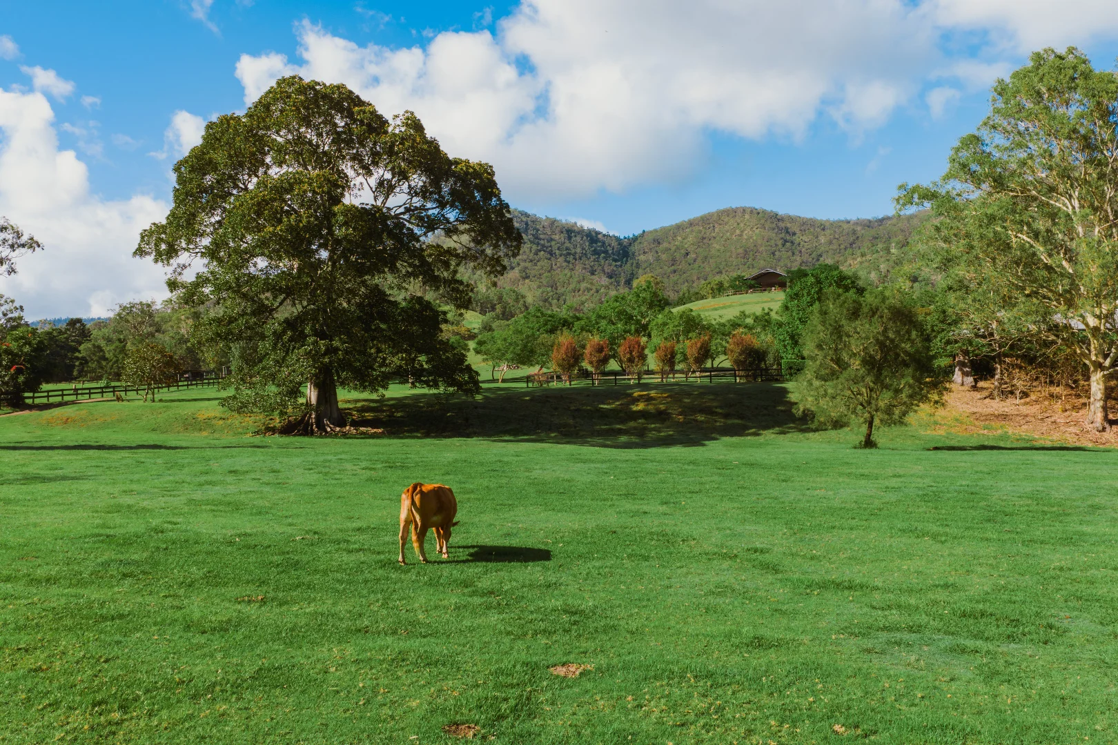 Additional image 29 of 466 Sarabah Road, Sarabah QLD 4275