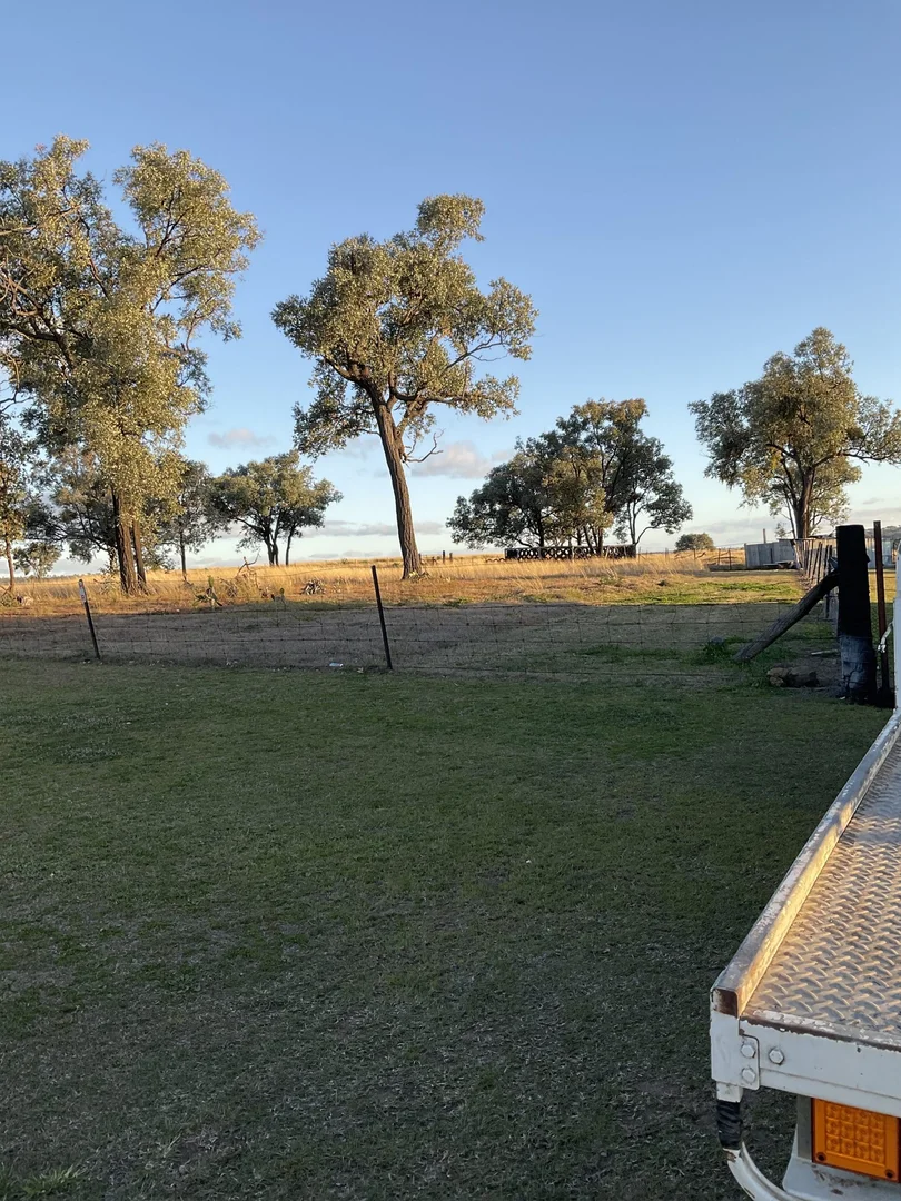 Additional image 13 of 19 Ely Street, Ashford NSW 2361