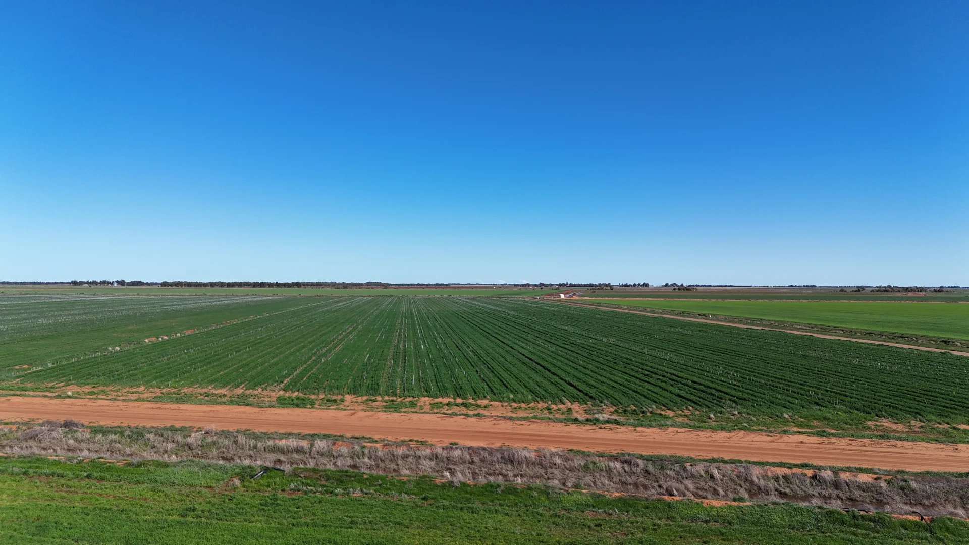 Additional image 6 of Farm 25/1354 Main Canal Road, Coleambally NSW 2707