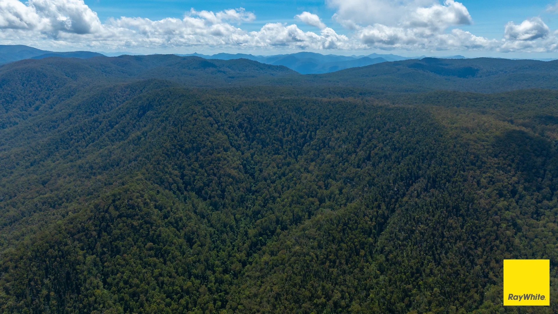 Additional image 24 of Lower Creek NSW 2440