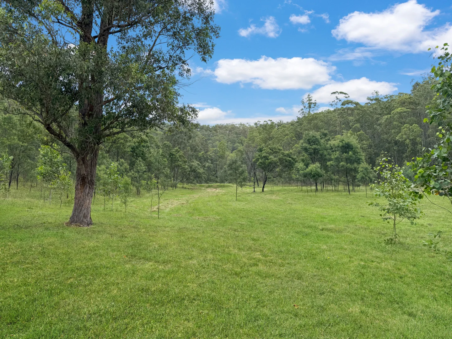 Additional image 8 of 3324 Great North Road, Wollombi NSW 2325
