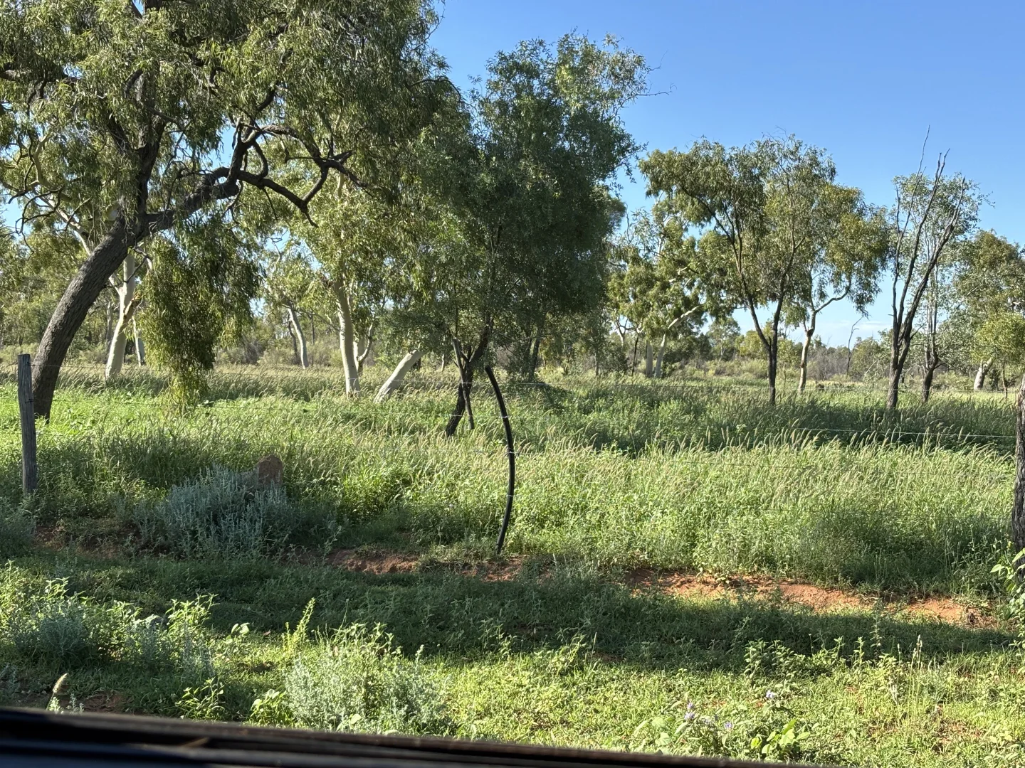 Additional image 10 of Lot 12 Capricorn Highway, Jericho QLD 4728