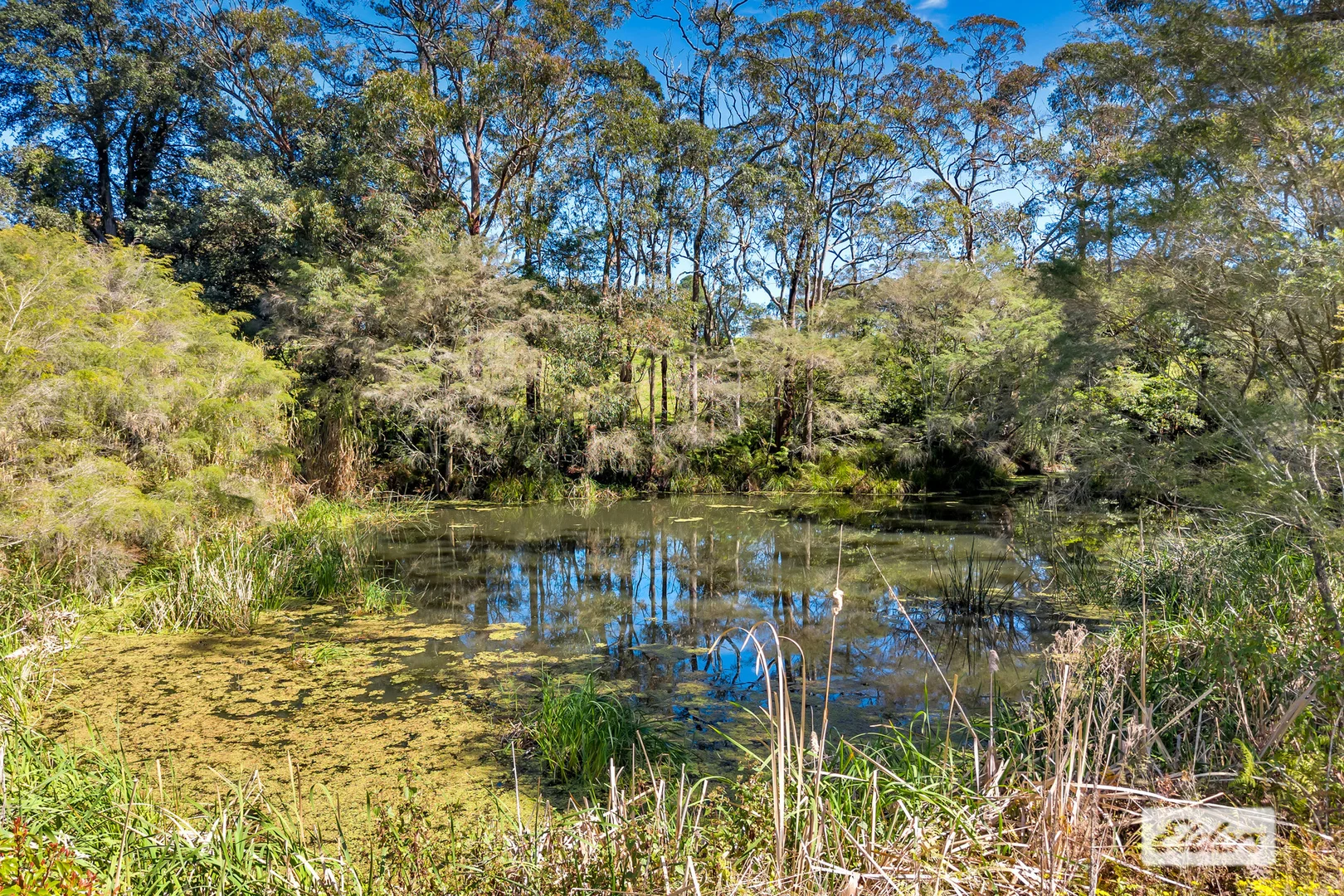 Additional image 7 of 323 Forest Road, Kulnura NSW 2250