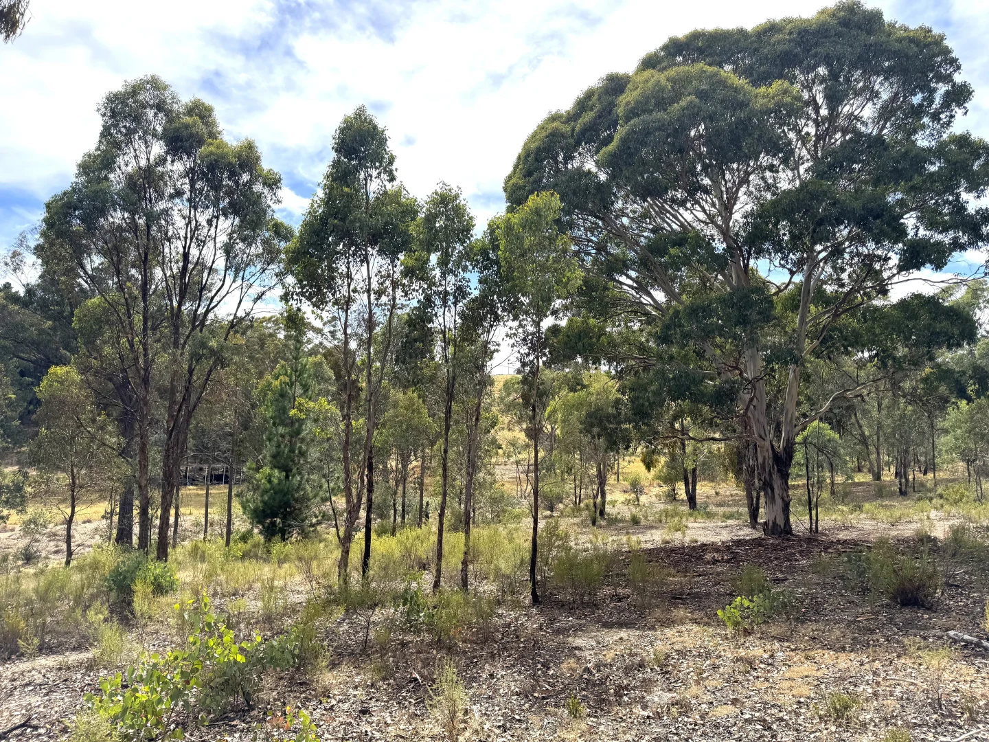 Additional image 9 of 848 Kentucky Road, Neville NSW 2799