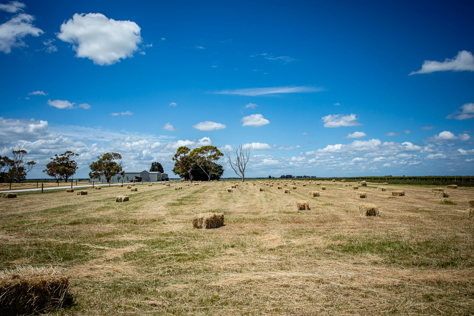 Additional image 43 of 370 Geraghty Rd, Coonawarra SA 5263