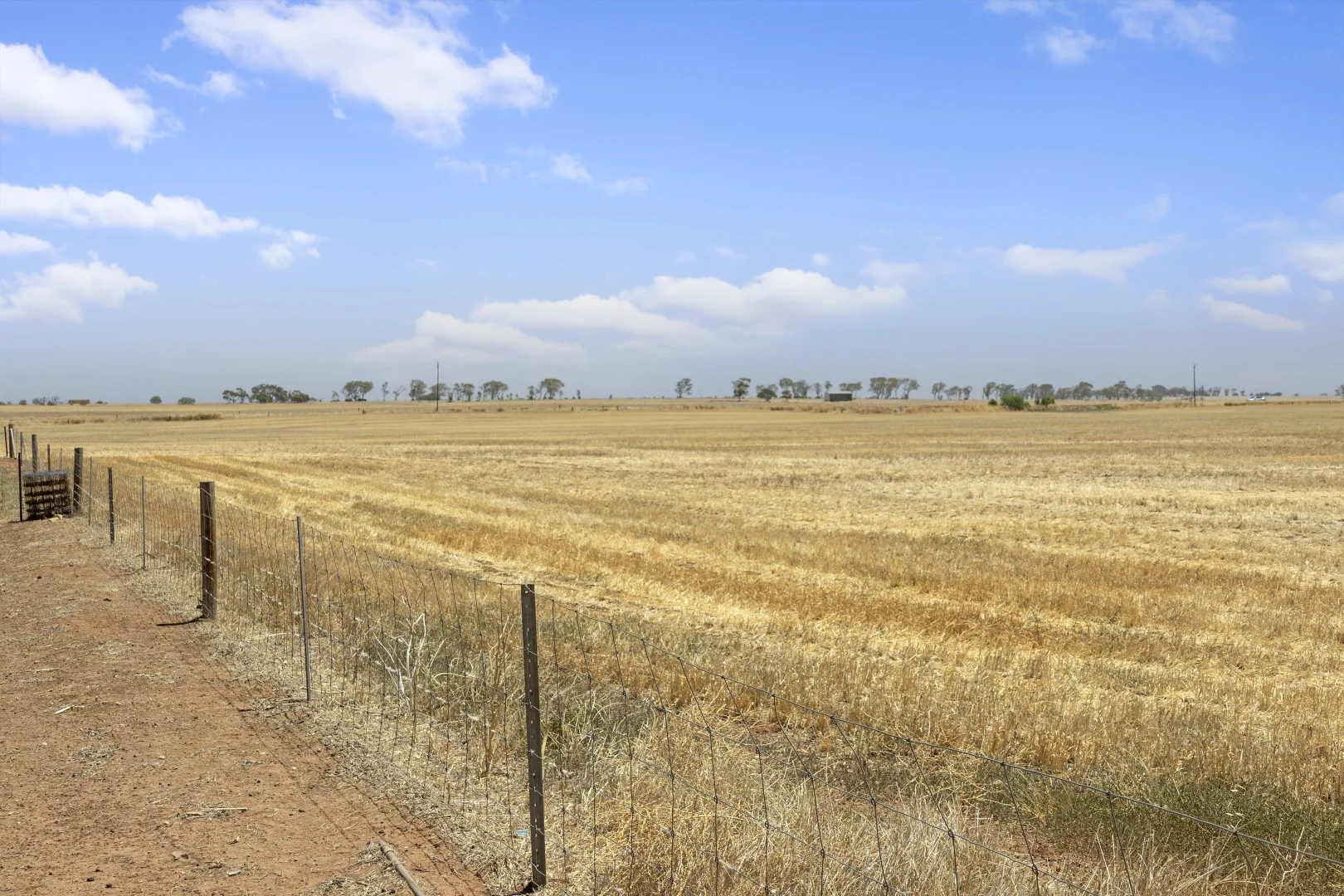 Additional image 9 of 'Leske Farm' Thiele Highway, Freeling SA 5372