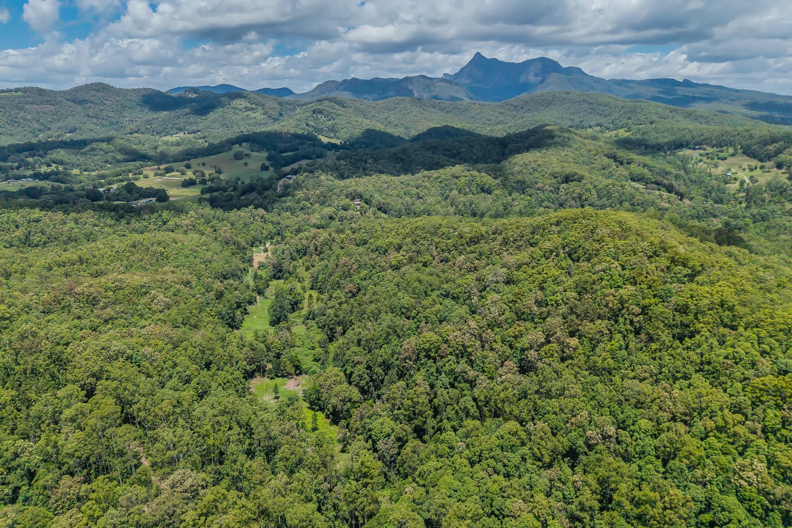 Additional image 21 of 270 Zara Road, Zara NSW 2484