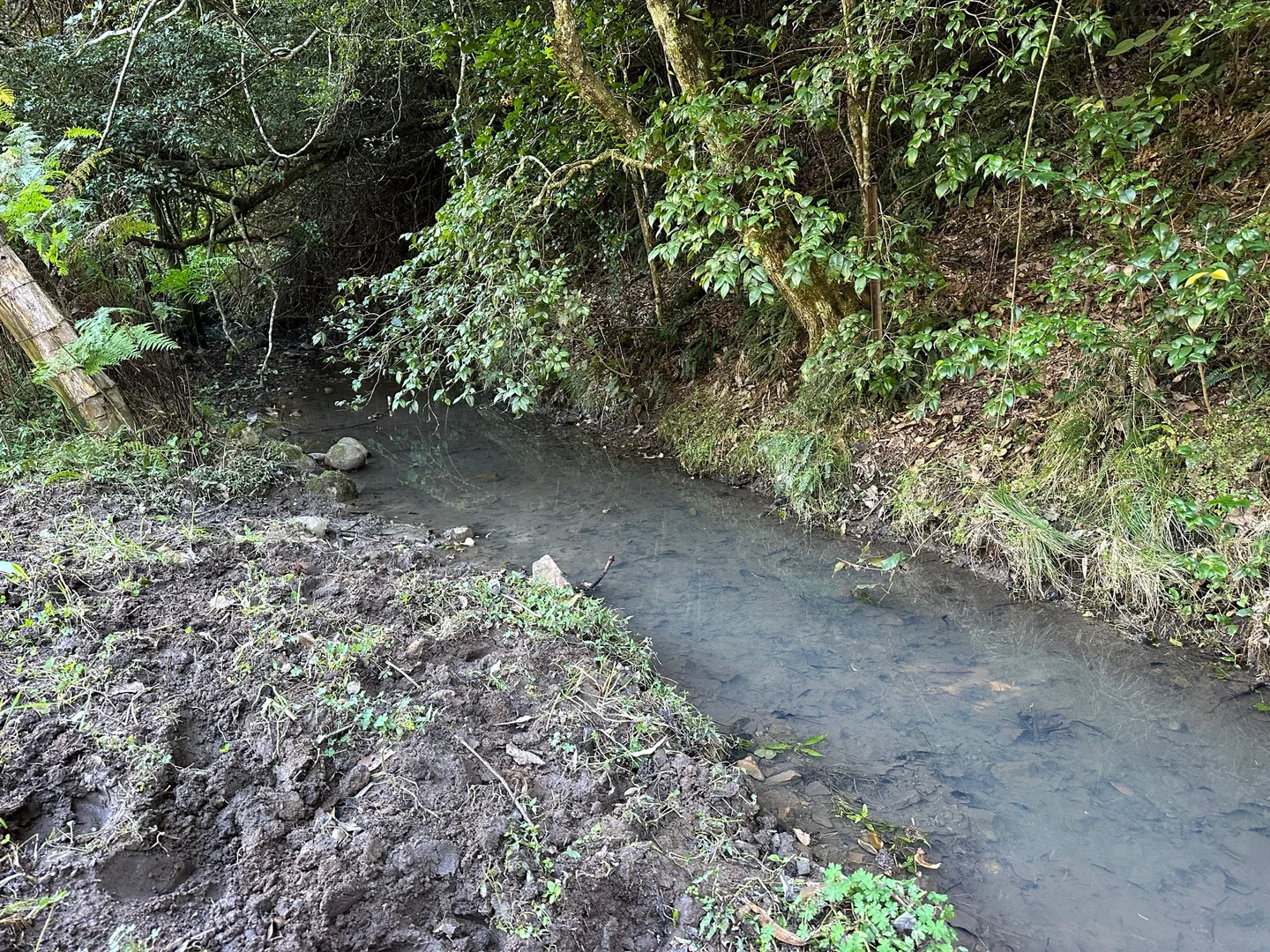 Additional image 11 of 129 Quartpot Creek Road, Dungog NSW 2420