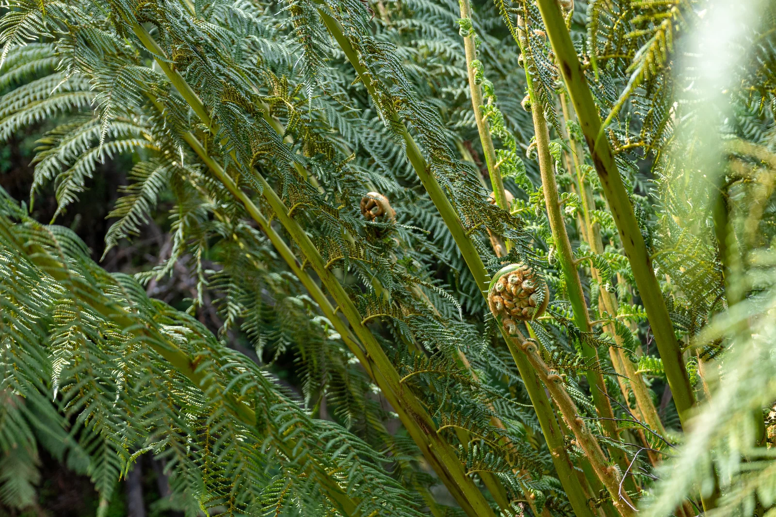 Additional image 12 of 9 Bobs Road, Oyster Cove TAS 7150