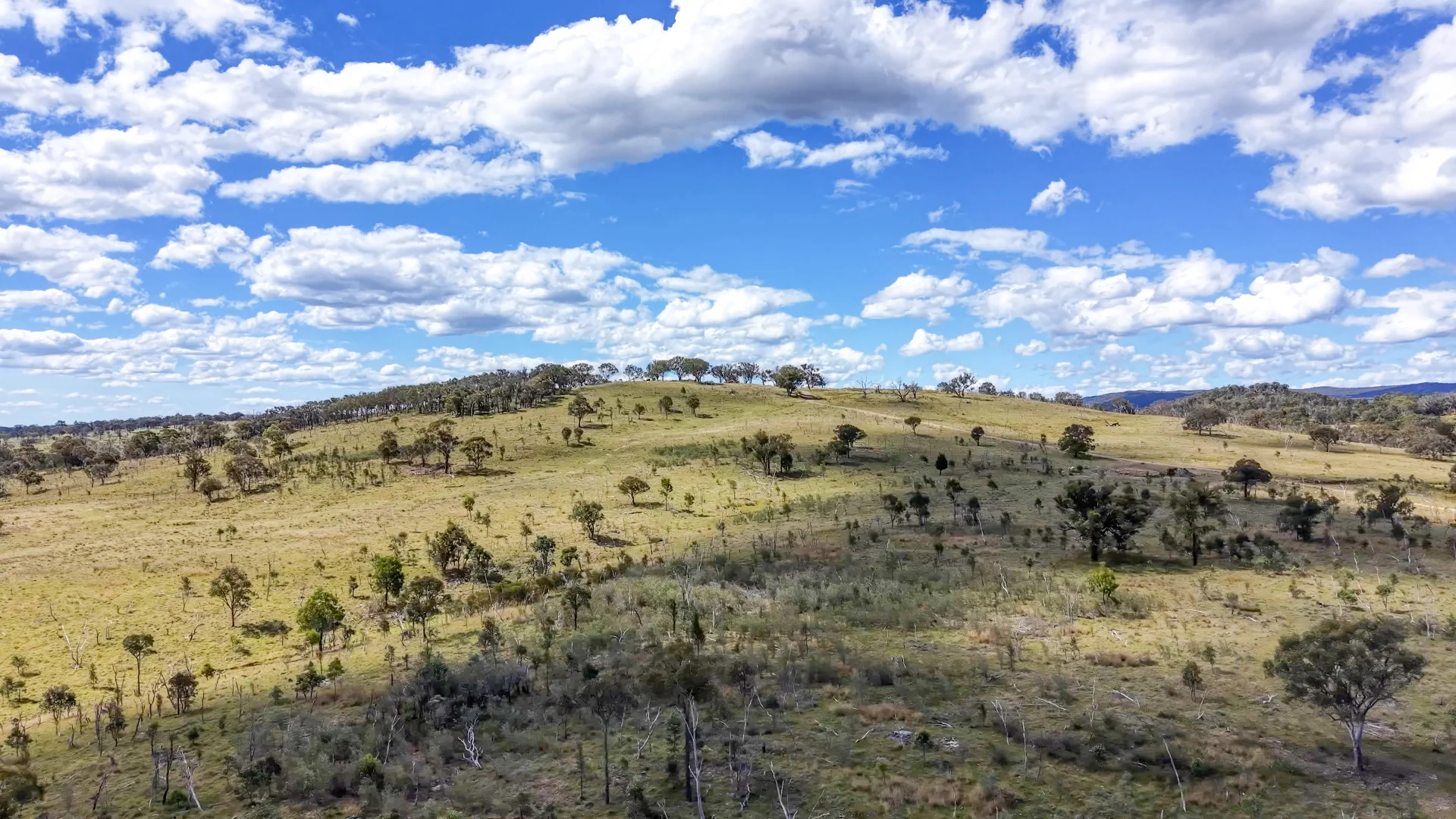 Additional image 16 of Lot 570 Tarban Road, Tenterfield NSW 2372