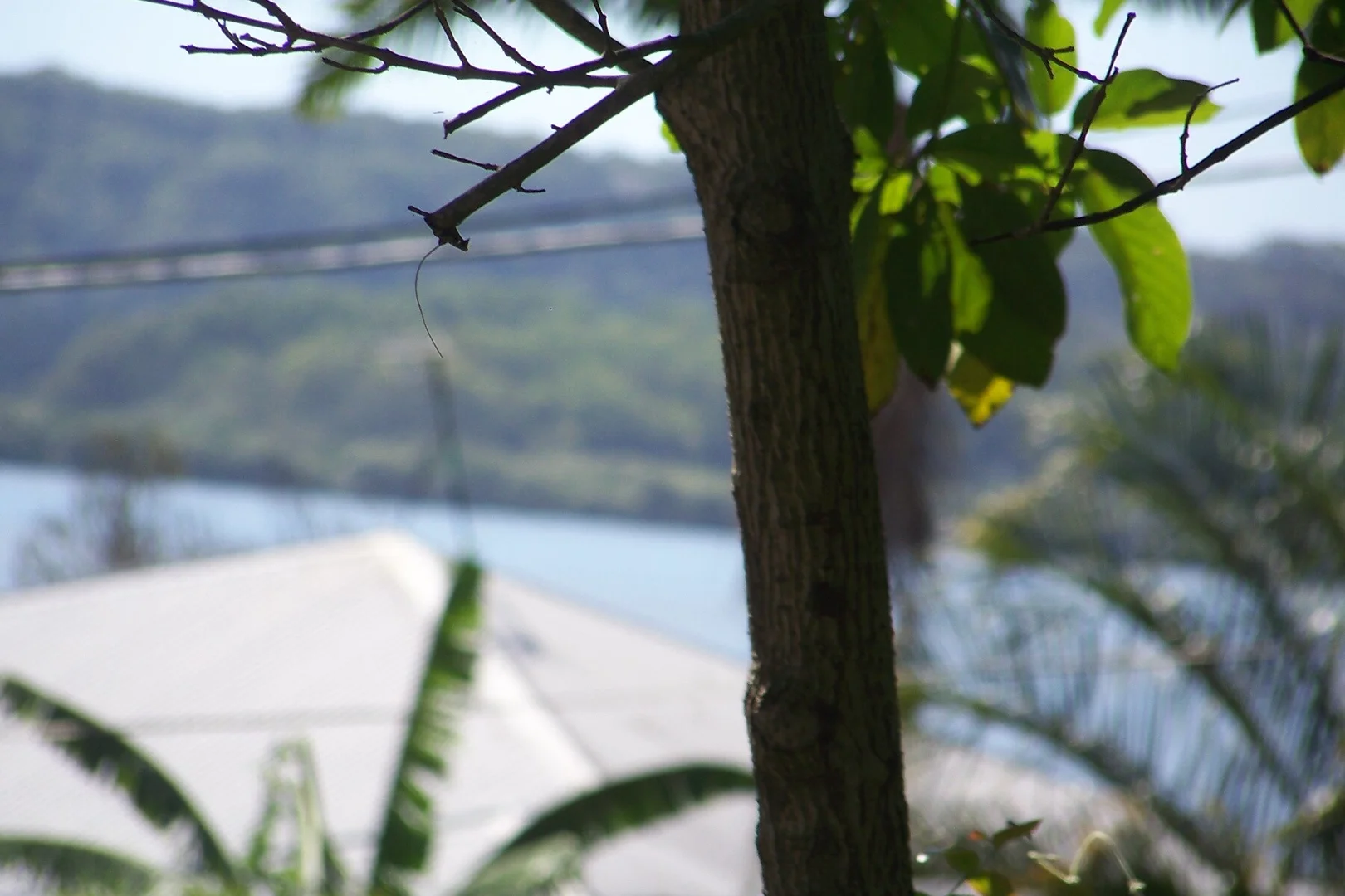 Additional image 18 of 29 Pine Avenue, Lamb Island QLD 4184