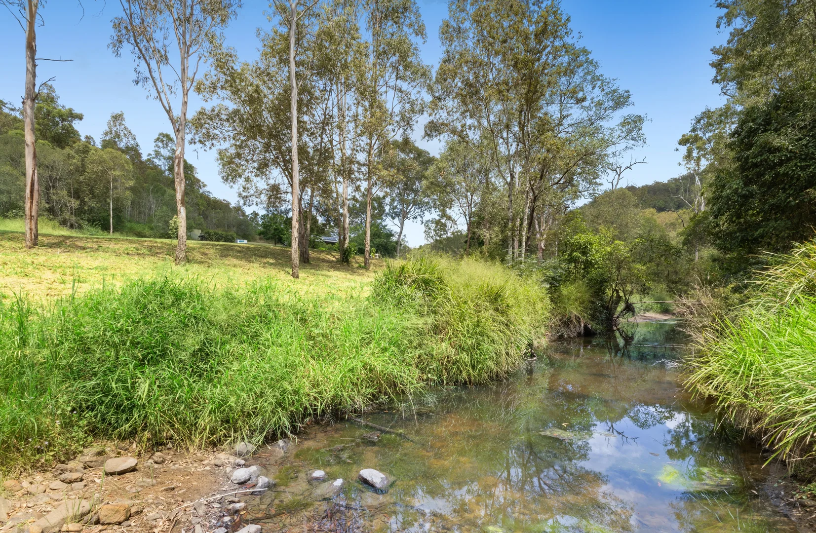 Additional image 18 of 1105 Wild Pig Creek Road, Undullah QLD 4285