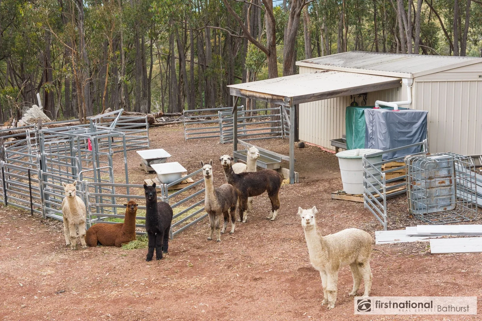 Additional image 14 of 2975 Limekilns Road, Paling Yards NSW 2795