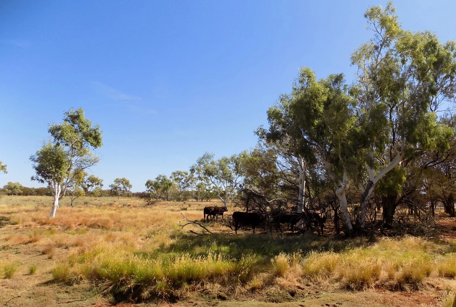 Additional image 14 of West Lyons River WA 6705