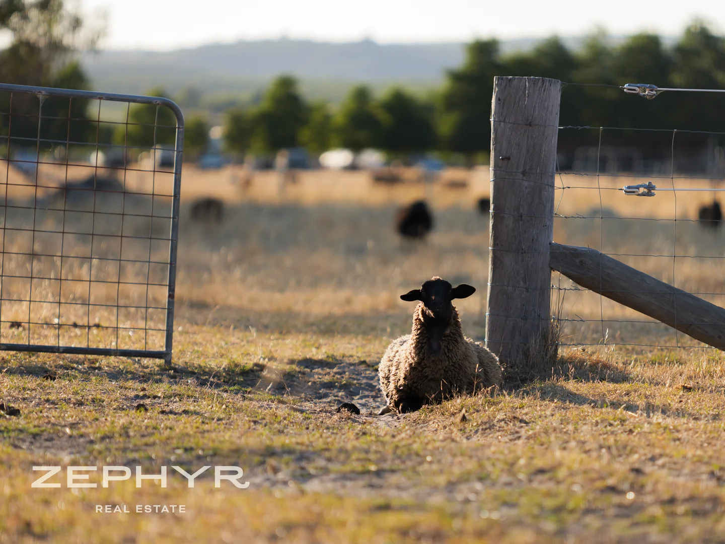Additional image 51 of 1565 Donnybrook-Boyup Brook Road, Lowden WA 6240