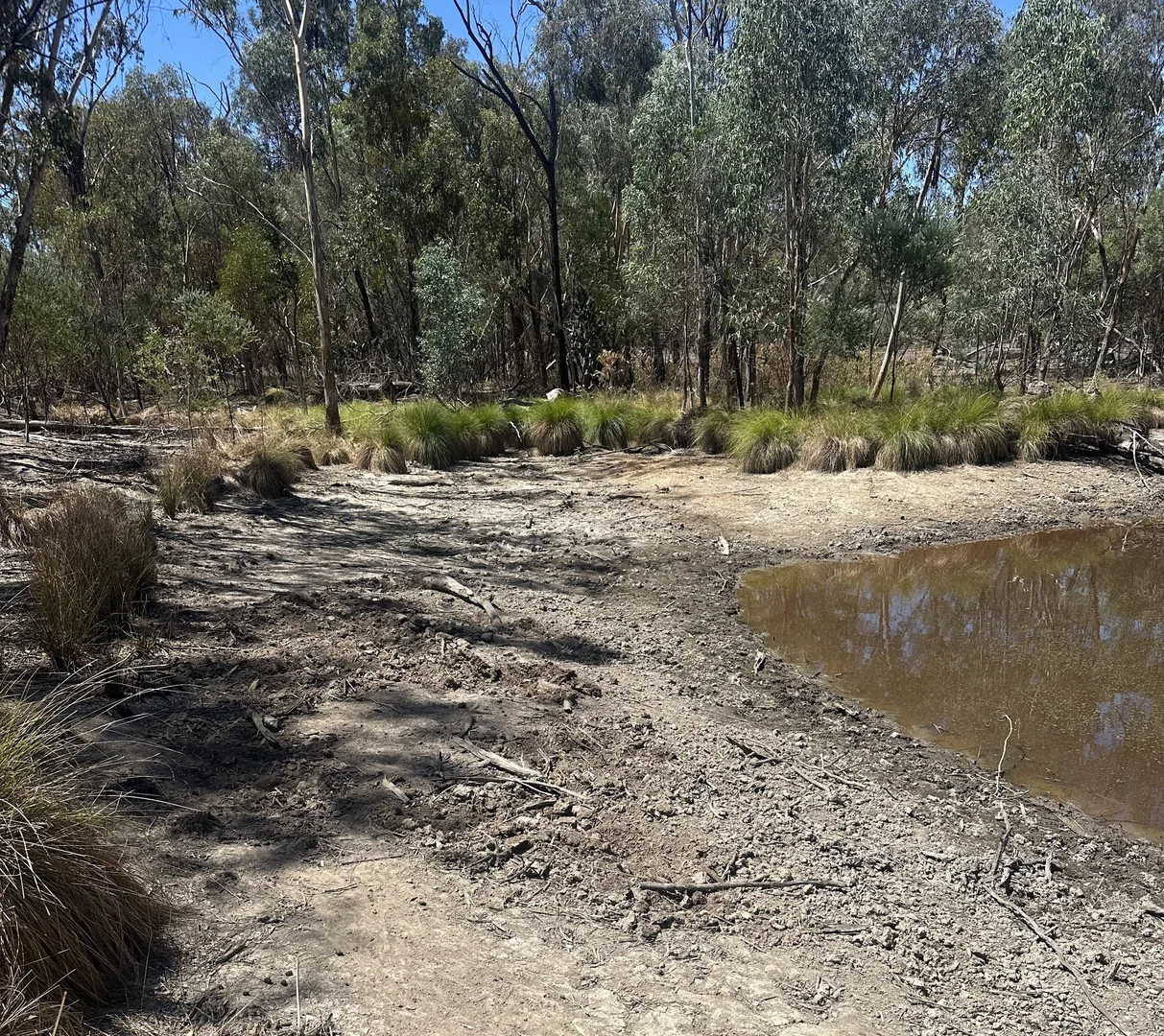 Additional image 13 of Mosquito Creek Road, Inglewood QLD 4387
