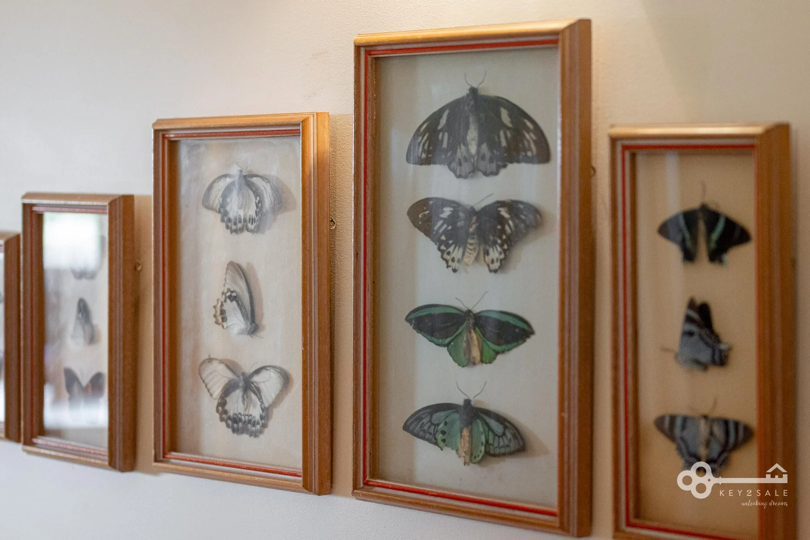 Additional image 19 of 21 Wade Street, Nelson VIC 3292