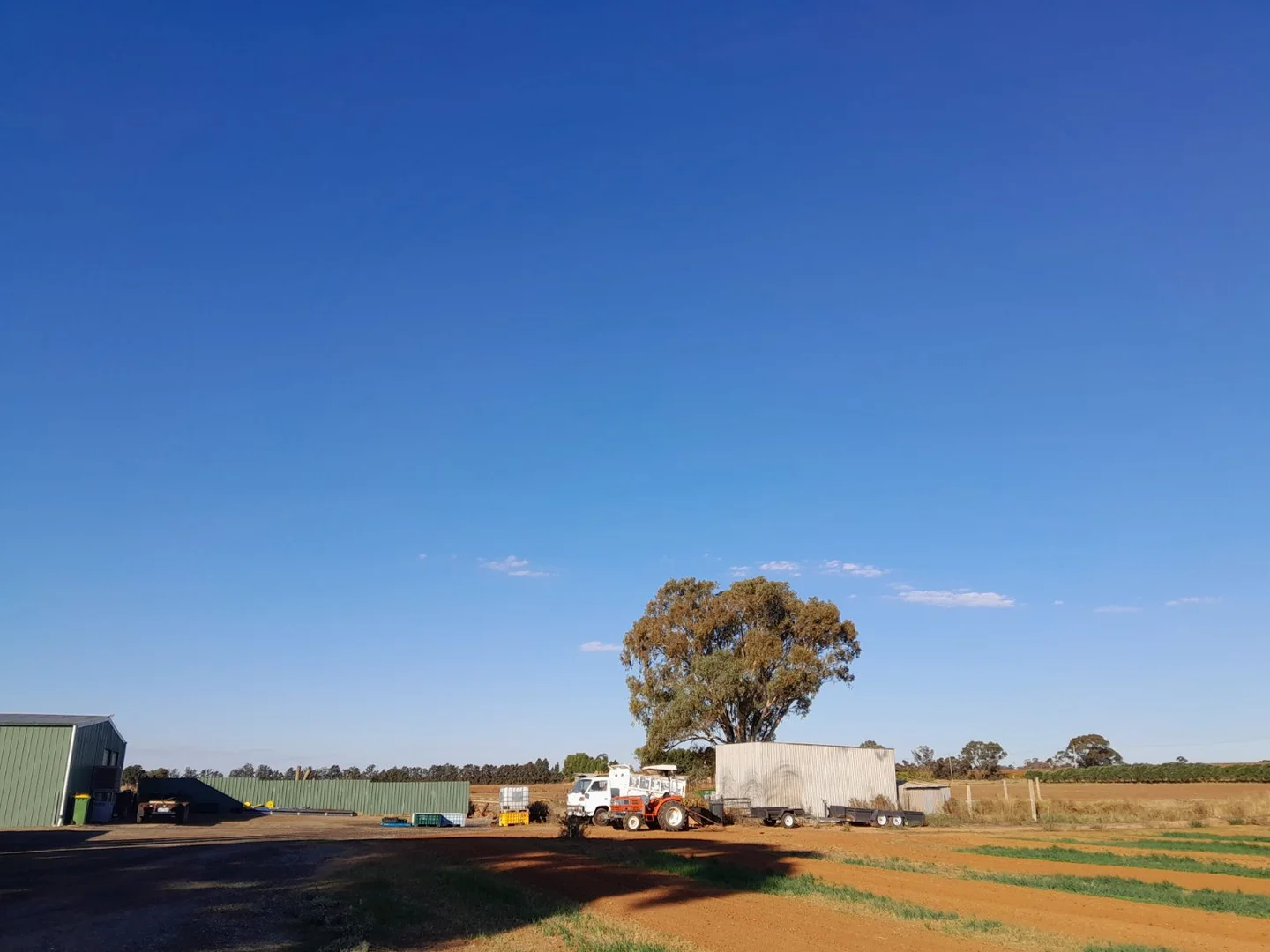 Additional image 8 of Woorinen North VIC 3589