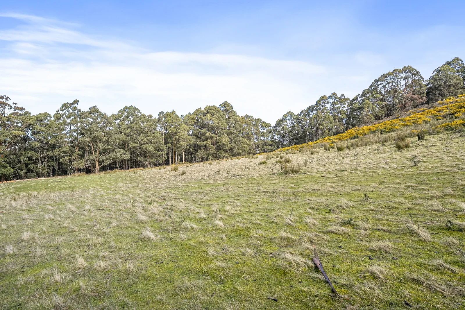 Additional image 11 of Lot 1 Longmans Road, Snug TAS 7054