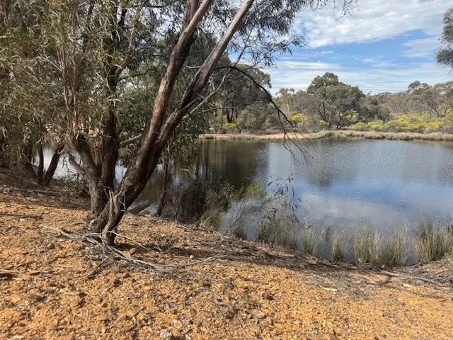Additional image 8 of 6 Old Boort Road, Wedderburn VIC 3518