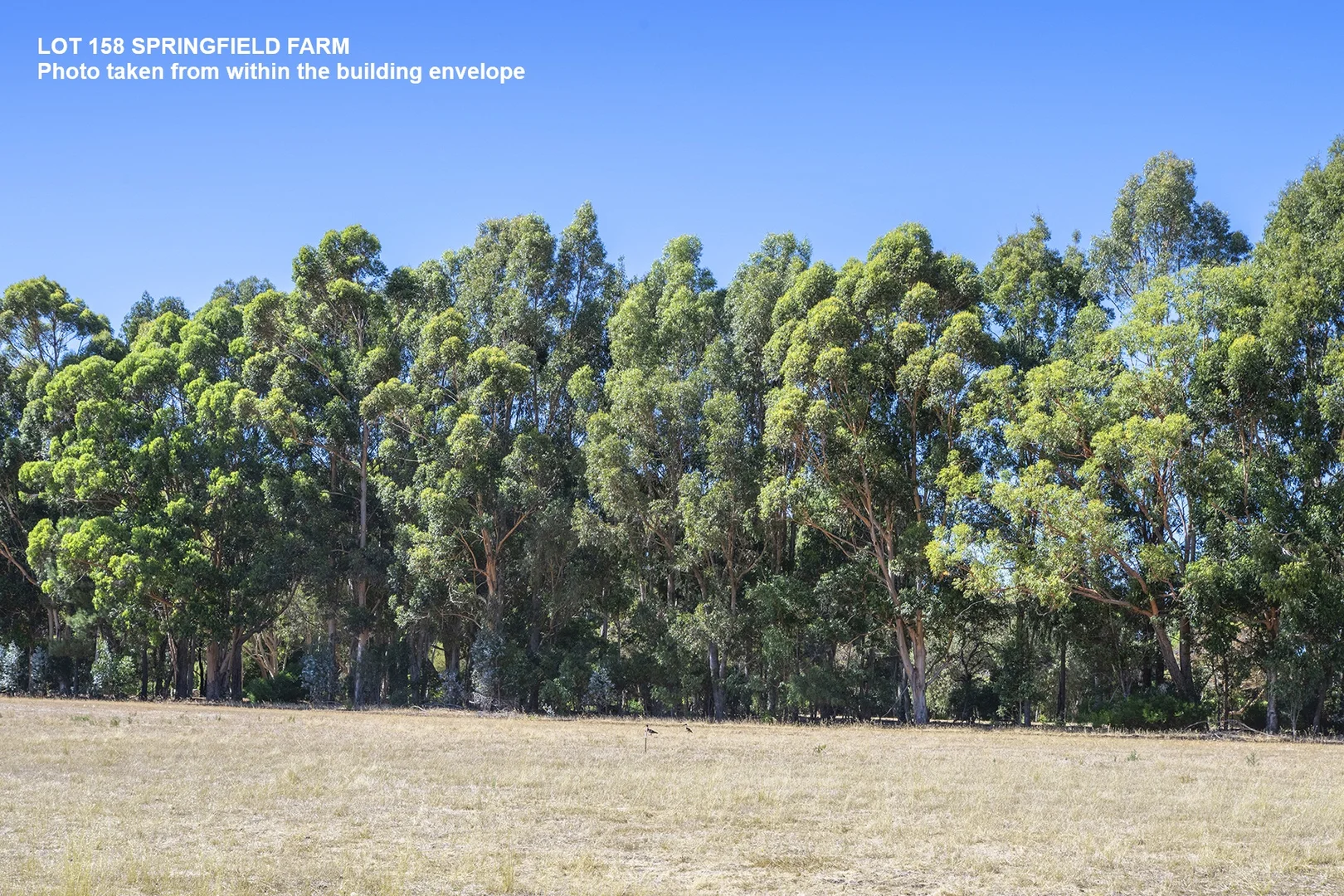 Additional image 3 of Lot 158 Springfield Farm, Yallingup WA 6282