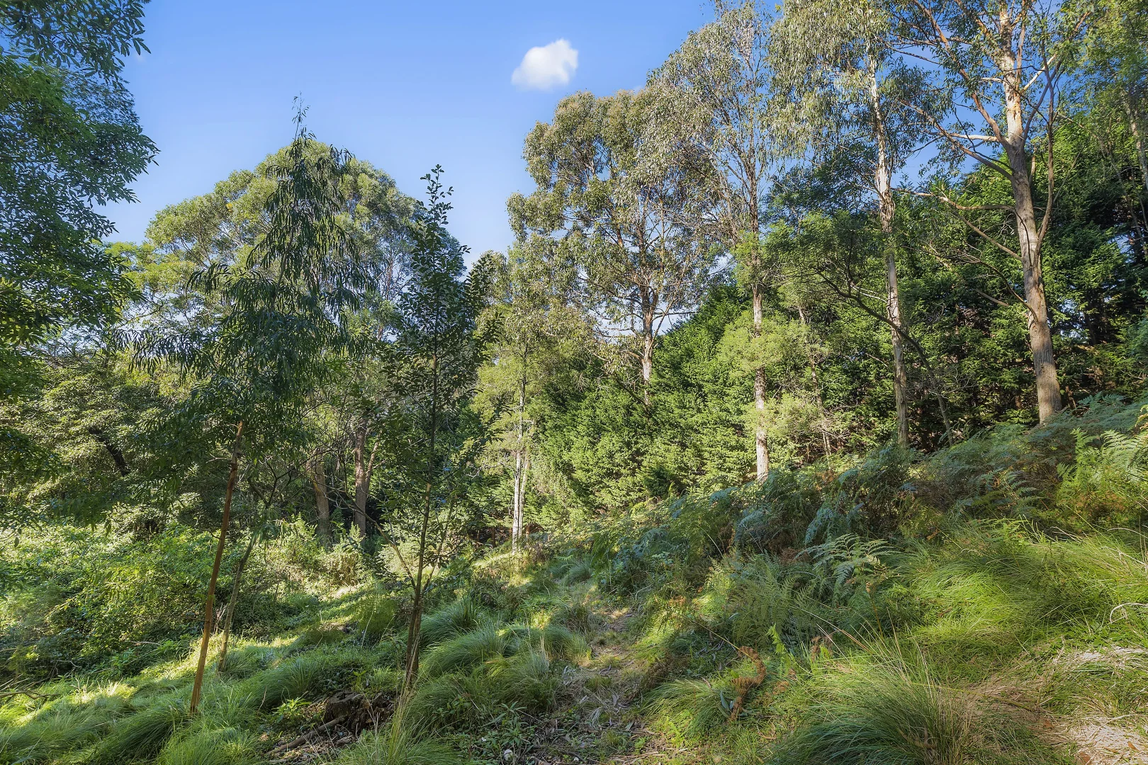 Additional image 4 of 35 Ben Nevis Circuit, Bundanoon NSW 2578