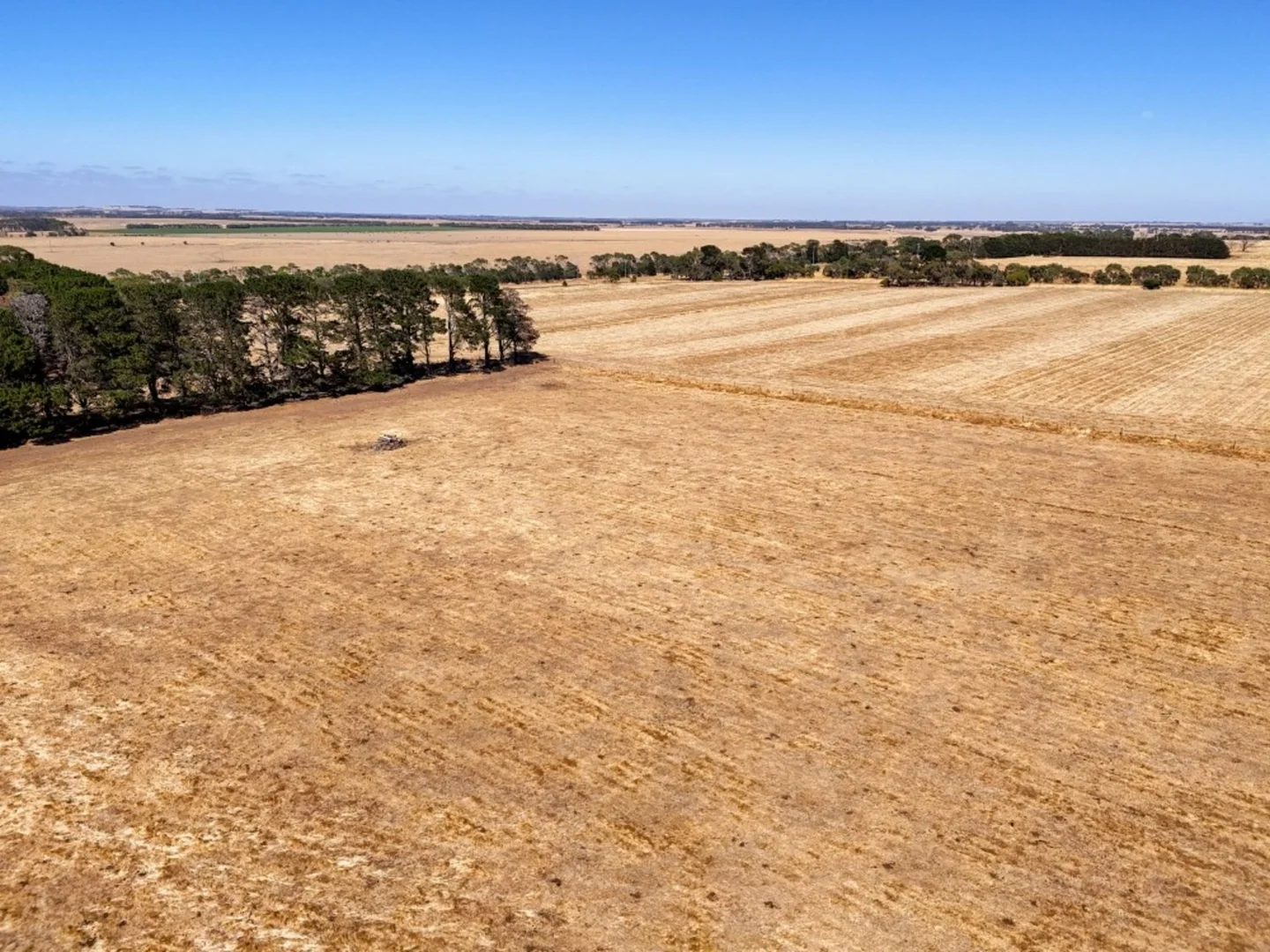 Additional image 30 of 3880 Hamilton Highway, Caramut VIC 3274