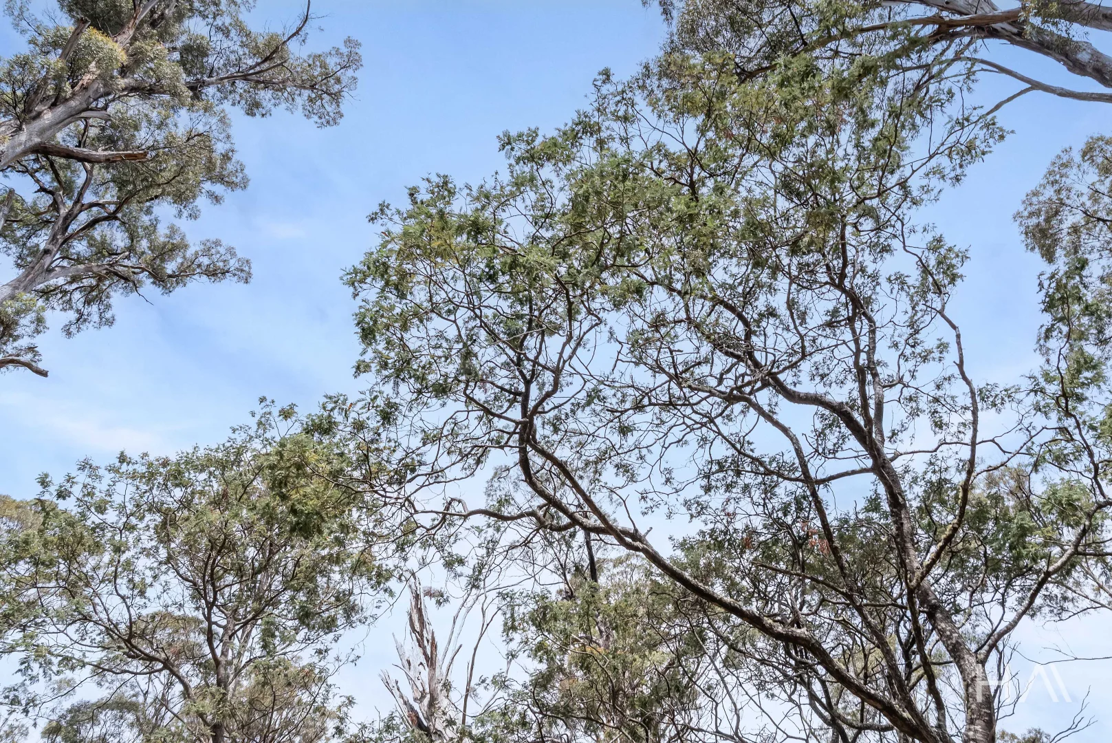 Additional image 9 of English Town Road, Deddington TAS 7212