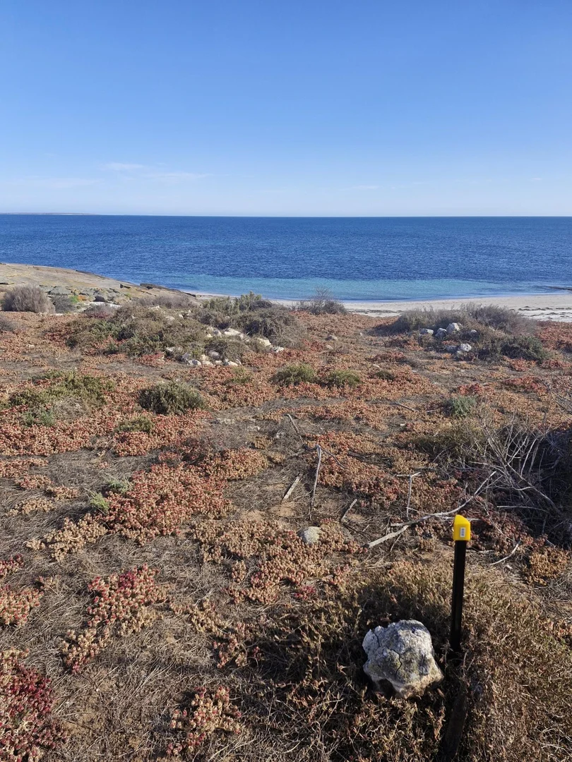 Additional image 2 of Lot 21 Spilsby Island, Port Lincoln SA 5606