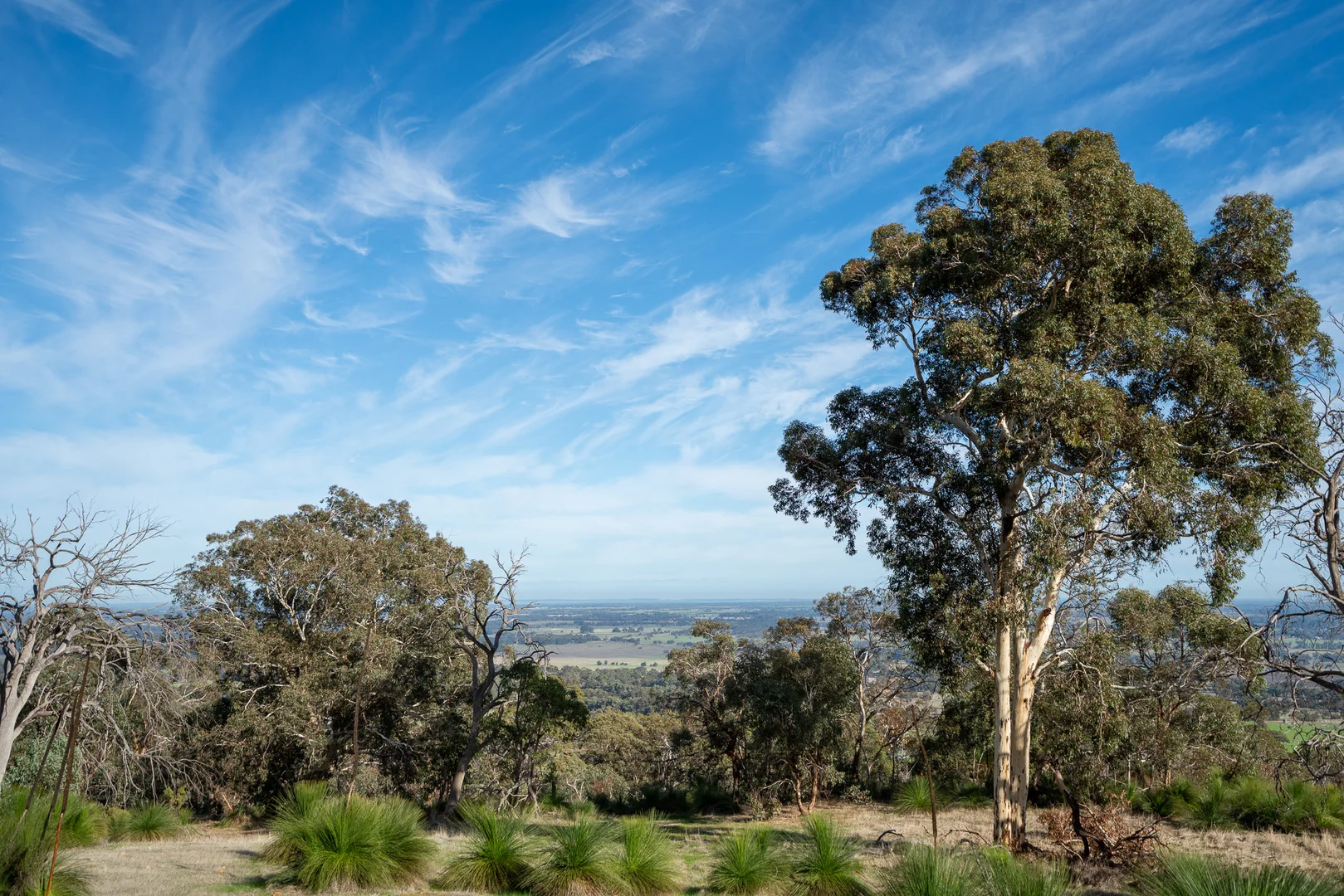 Additional image 11 of North Dandalup WA 6207