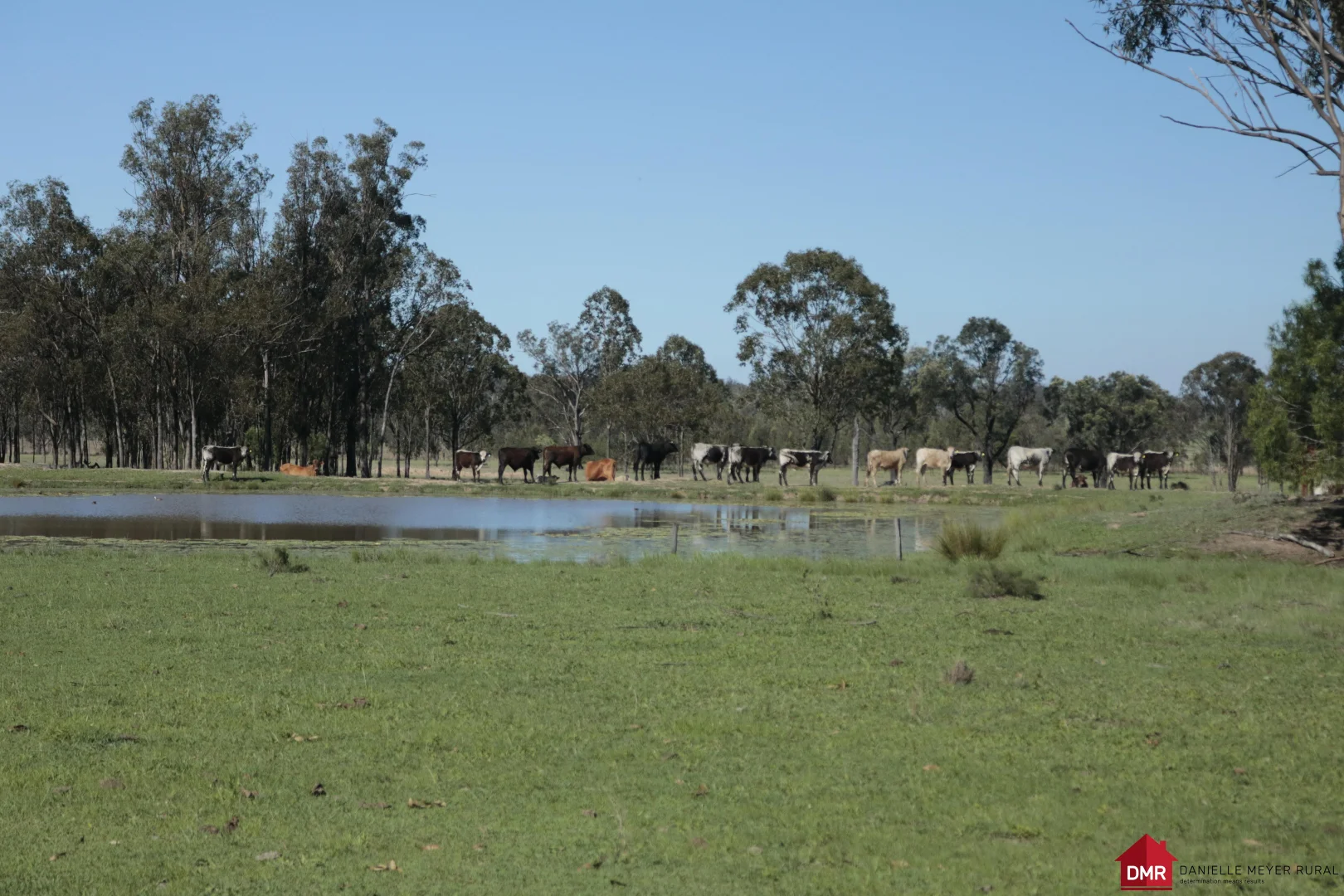 Additional image 7 of 25731 Burnett Highway, Cynthia QLD 4627