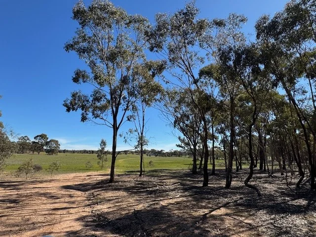 Additional image 21 of 4CA Calder Highway, Wedderburn VIC 3518
