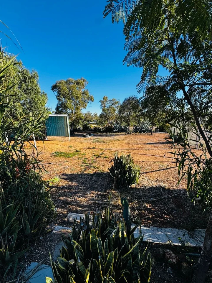 Additional image 17 of Lot 8 Wll16240, Lightning Ridge NSW 2834