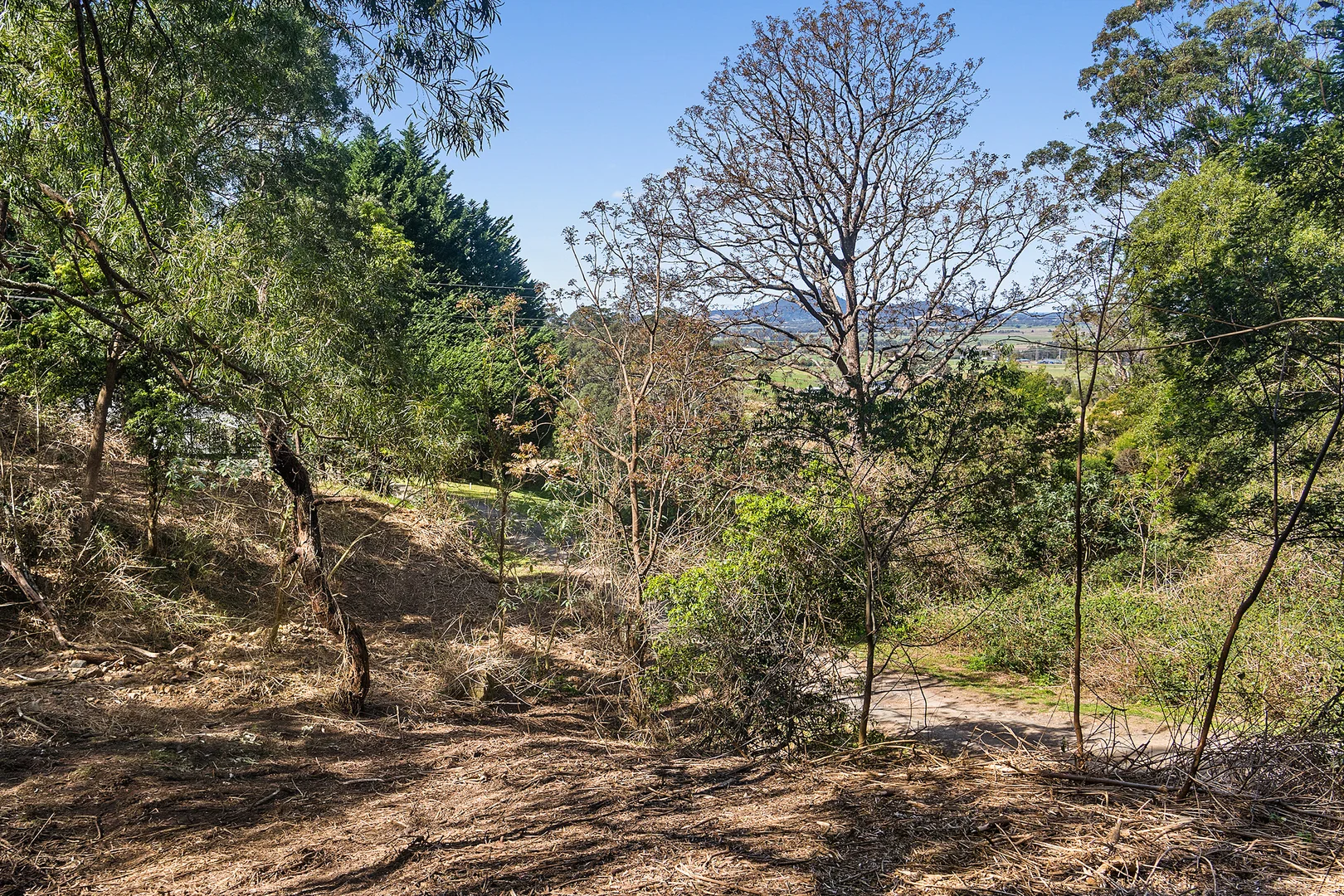 Additional image 15 of Red Cedar Road, Meroo Meadow NSW 2540